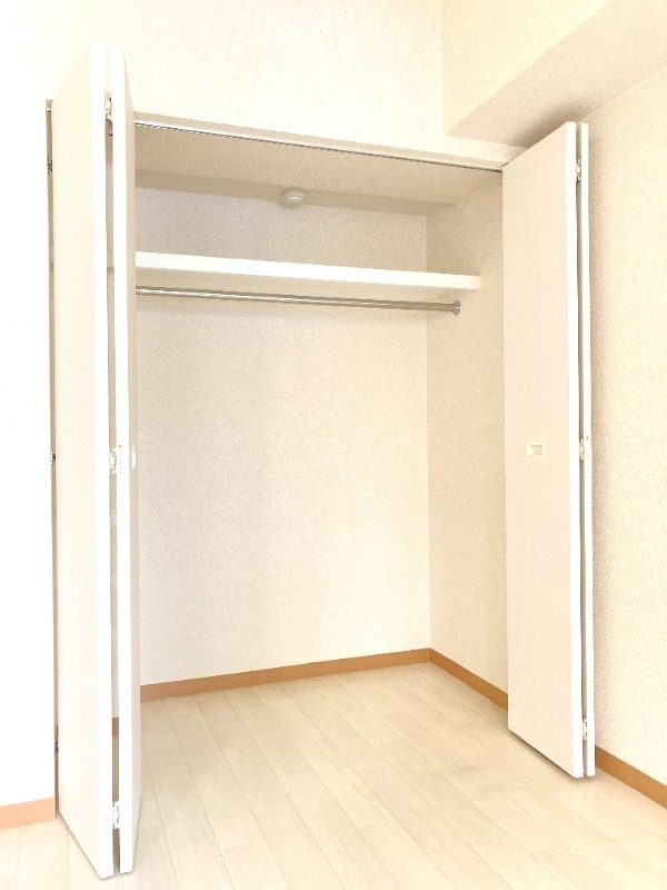 アレグリアス相模大野 大型クローゼット　たっぷり収納可能です◎