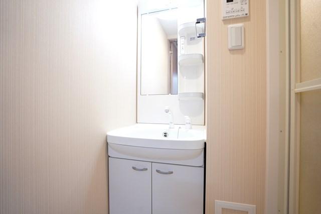 N-Stage鳩ヶ谷8階 洗面所