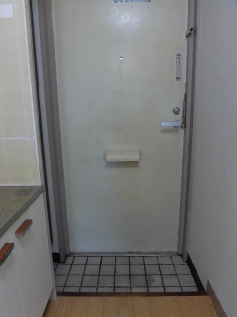 ミレ・関町0203号室 玄関