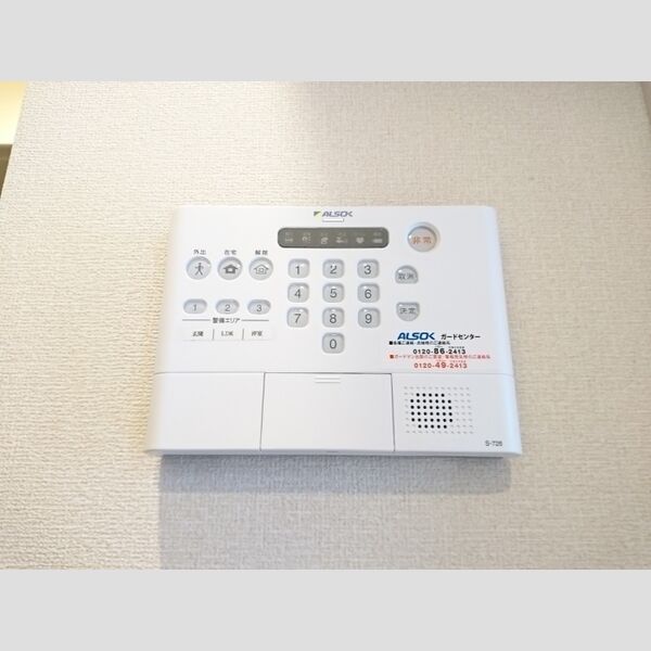 ロイジェントパークス レイクタウン Ⅱ　M202号室 セキュリティ