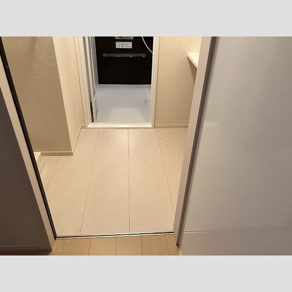 LIBERTE(リベルテ)101号室 洗面脱衣所