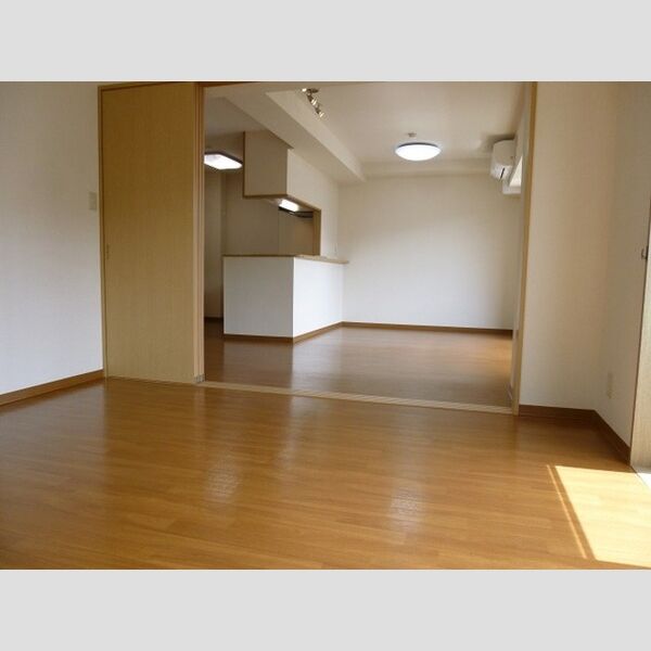 メゾン・ヴィクトワール301号室 居室全景②