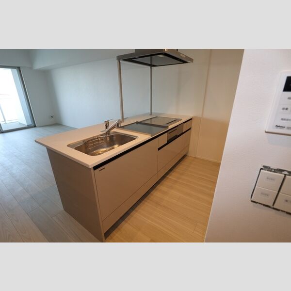 THE RejuvePort KISARAZU0807号室 システムキッチン