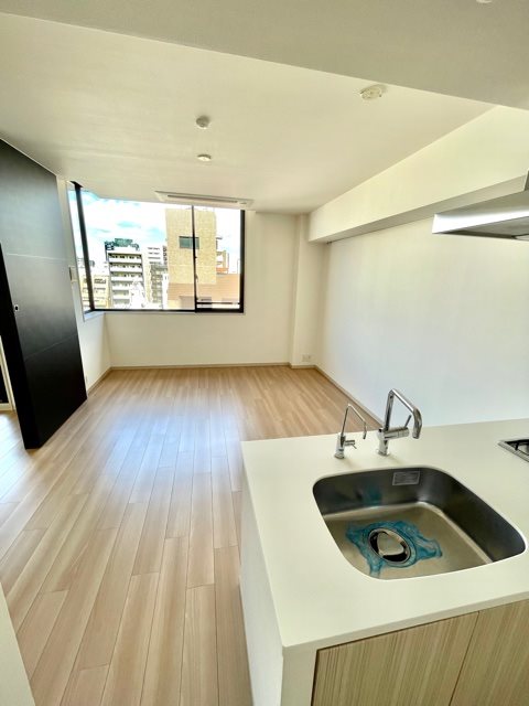 レジディア日本橋馬喰町Ⅲ5階 リビング