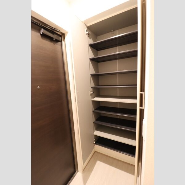 セレスティア白鳥302号室 玄関収納(中)