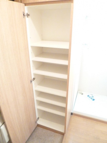 スカイコート新宿落合第6 シューズボックス