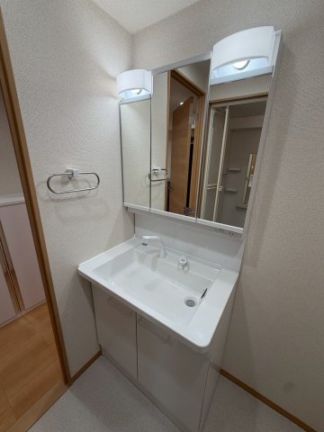 グランピエール201号室 洗面