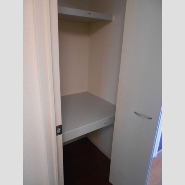 アムール光が丘　A105号室 収納