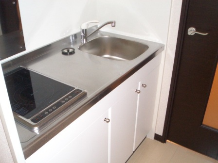 レオネクストエルーセラハイツ106号室 部屋その他