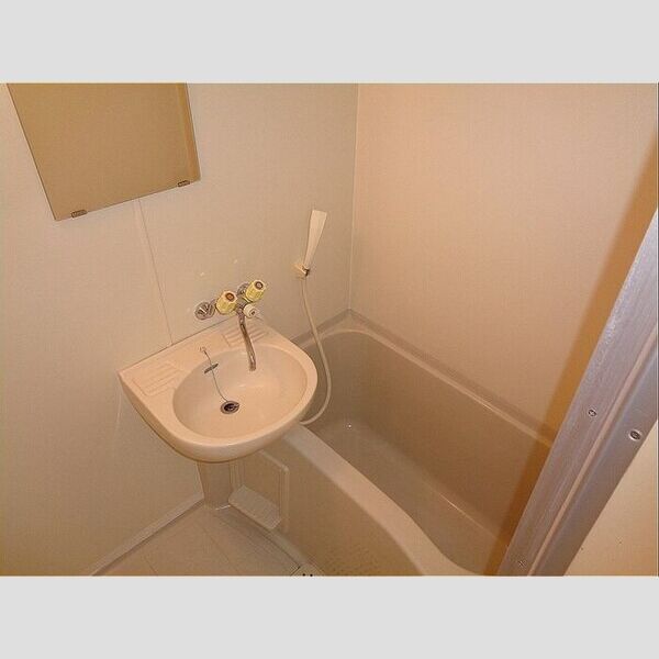 グリーンウッドハイツB207号室 浴室