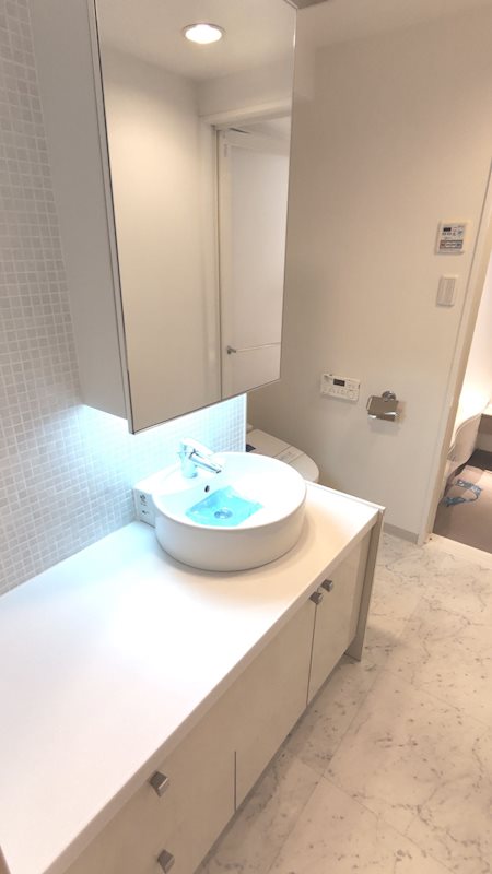 ピアネッタ汐留10階 洗面