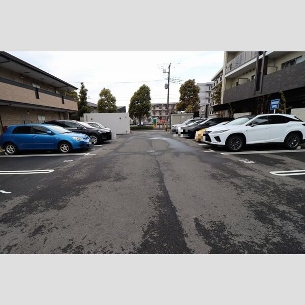 フェリス　コート0810号室 駐車場