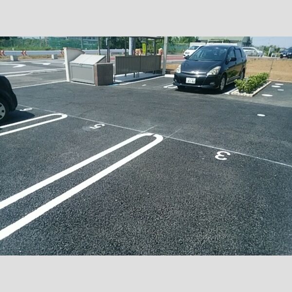 ルピナス 周辺①