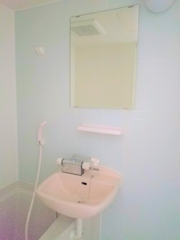 第1ヒカリ 洗面所