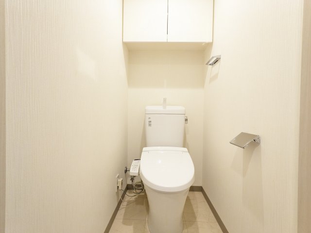 ケーディーエックスレジデンス豊洲201号室 トイレ