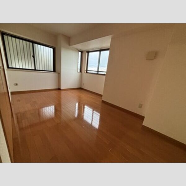 ベルシャイン厚木301号室 部屋その他