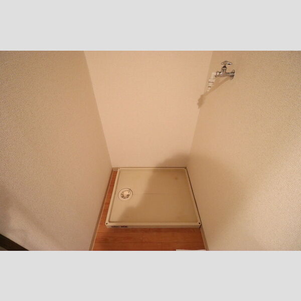 ヴァルキューレ大日207号室 室内洗濯機置き場