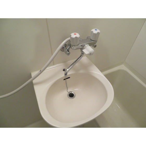 メゾン・アメニテ 洗面台