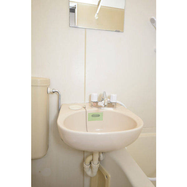 ローリエ相模大野0201号室 洗面