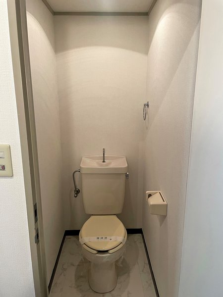 三園さえぐさマンション101号室 トイレ