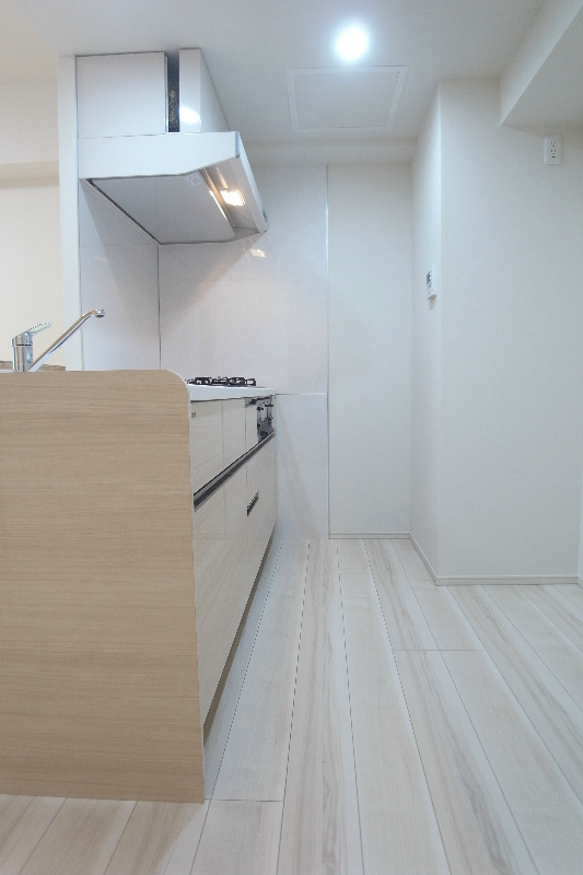 アビタシオン菊川 キッチン