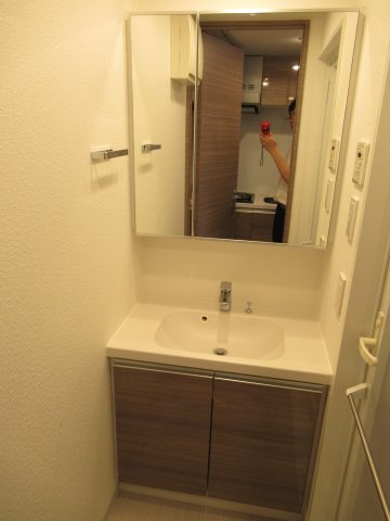 DIPS赤羽北WEST404号室 洗面