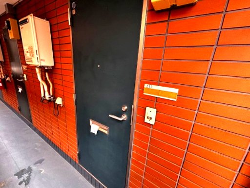 リエス稲田堤 玄関