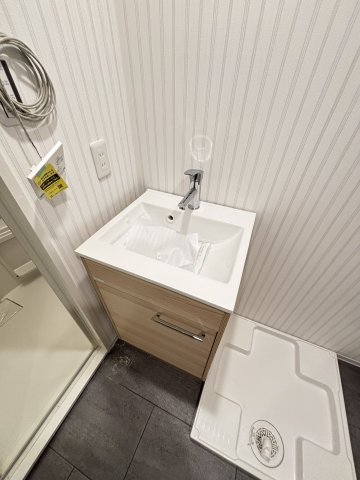 Ｂｒａｎｅｄｇｅ東武練馬0202号室 洗面