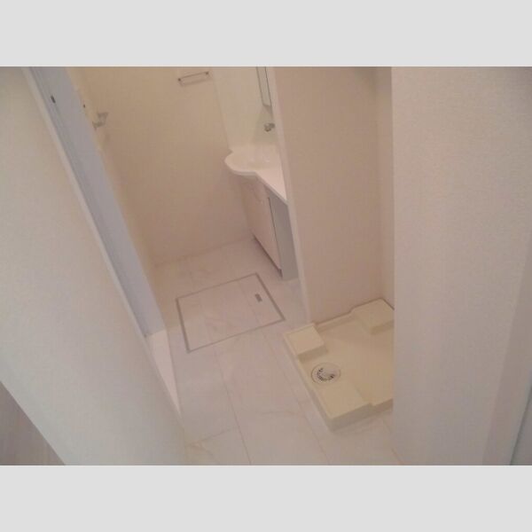 グランフォルト高砂101号室 洗面室