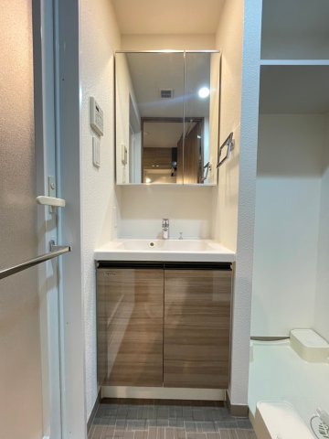 DIPS南六郷505号室 洗面