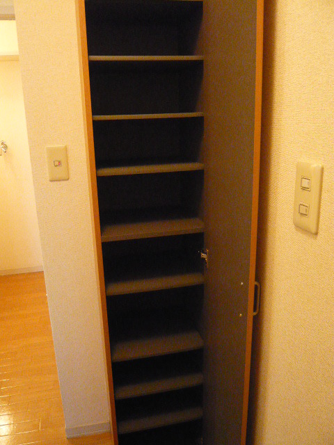 グランシャリオ（桜丘）0201号室 シューズボックス