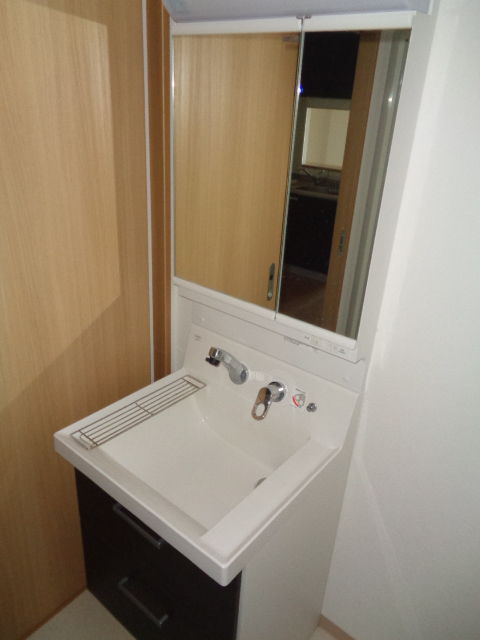 リオアルデ追分0406号室 洗面