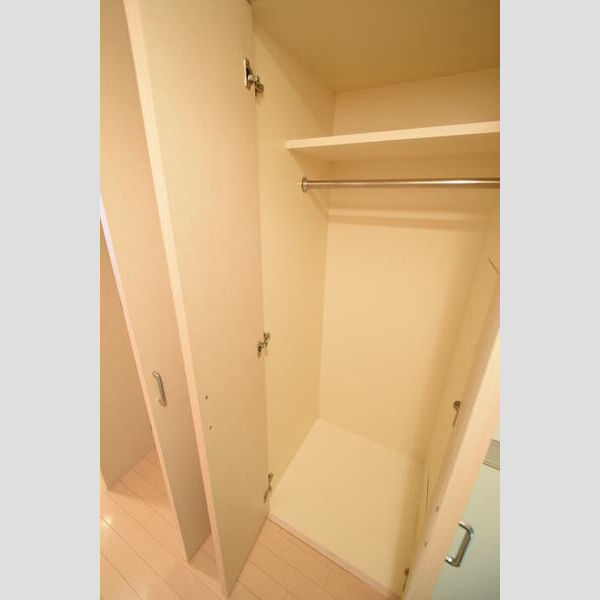 ロイヤルパークス西新井1023号室 クローゼット