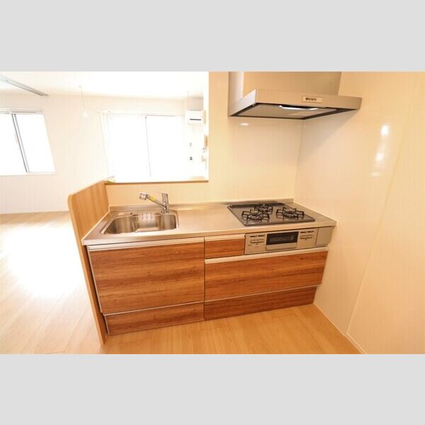 エクレール205号室 システムキッチン(3口ガスコンロ)