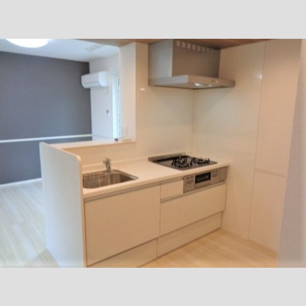 エクセリア北烏山 105号室　システムキッチン