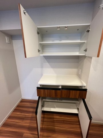 DIPS上野NORTH1003号室 収納