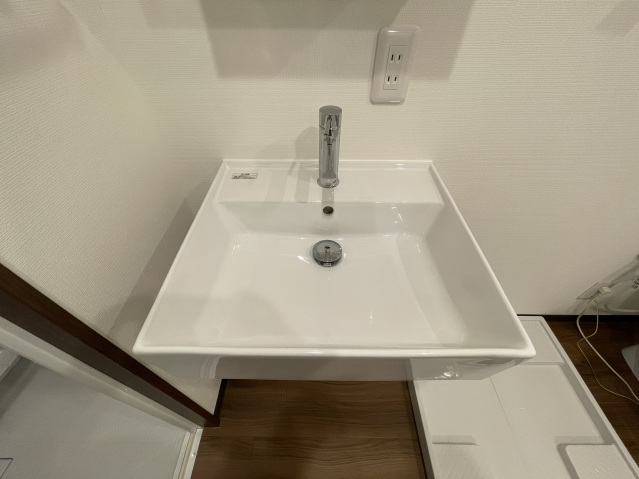 スカイラシクラス小岩301号室 洗面