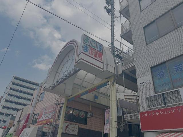 アナベル横濱大通り公園 横浜橋通商店街まで120ｍ