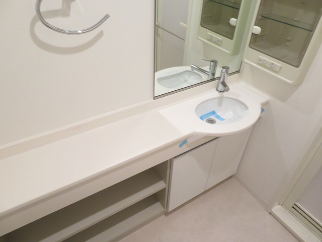 エコロジー東陽町プロセンチュリー 洗面