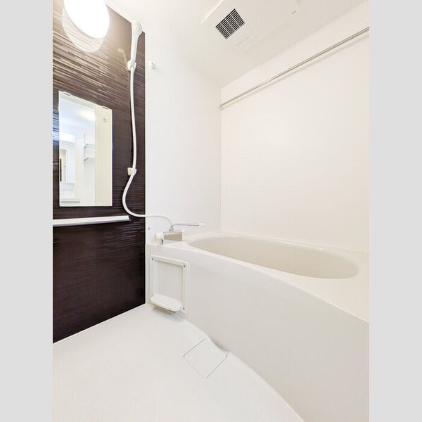 ルミナス ハイム202号室 お風呂