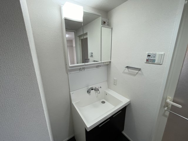 ハーモニーレジデンス池上 洗面