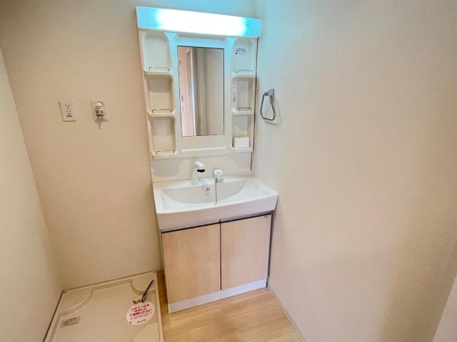 persimmon（パーシモン）101号室 洗面