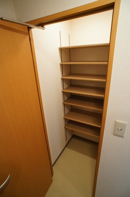Ａｄａｇｉｏ0301号室 収納のためのスペースです
