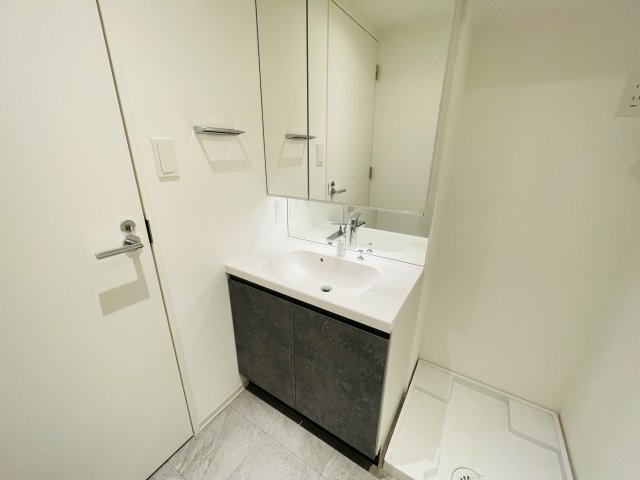 SYFORME NEXT IKEBUKURO WEST304号室 洗面