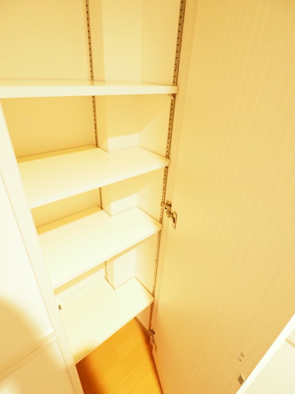 レジディア東日本橋4階 収納