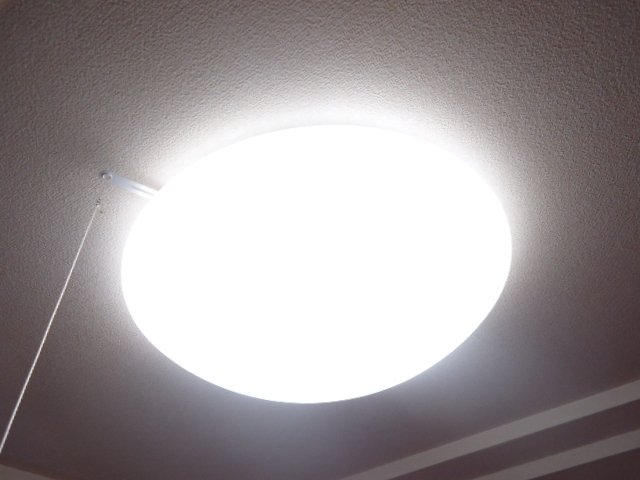 アローウェルス102号室 照明