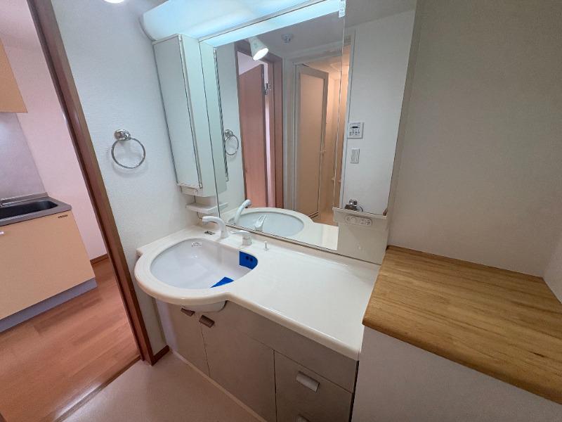 サンヴィアーレ湘南 洗面