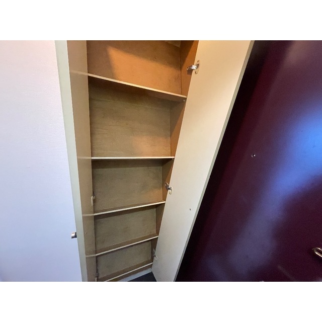 ネルソンパートⅤ206号室 内観