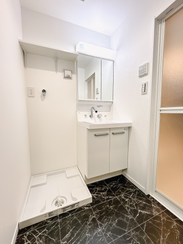 スカイルーチェ南浦和102号室 洗面