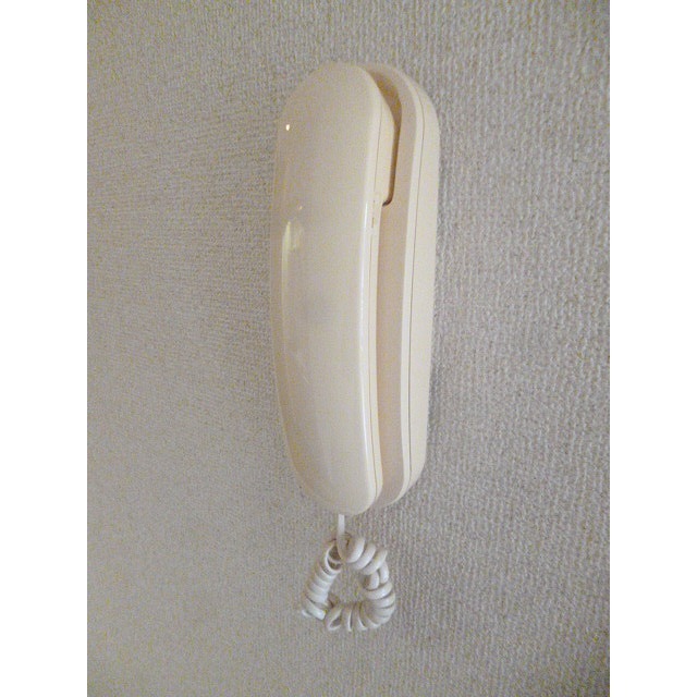 casa de rosa（旧レジデンス田中）0203号室 部屋その他